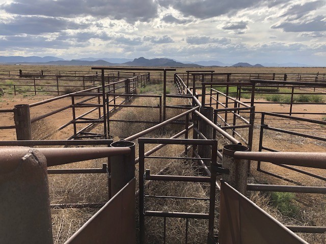 Sold! Cochise County Irrigated Cattle Operation